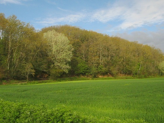 Valle del Chiecina Valle del Chiecina