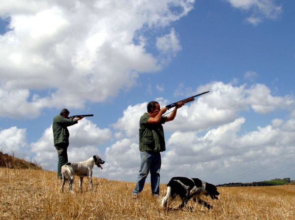 Cacciatori con cani Cacciatori con cani