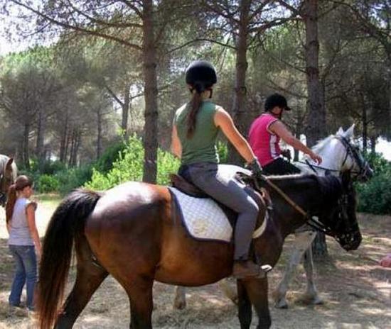 Game Fair, battesimo della sella Game Fair, battesimo della sella