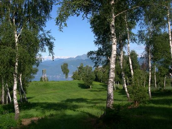 Pascolo Monti Sette Termini, Varese Pascolo Monti Sette Termini, Varese