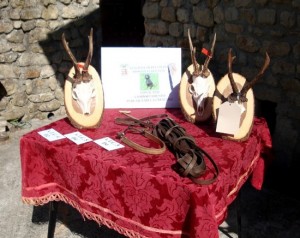 Trofei degli ungulati Trofei degli ungulati