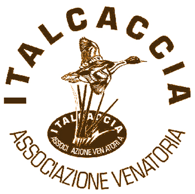 Italcaccia