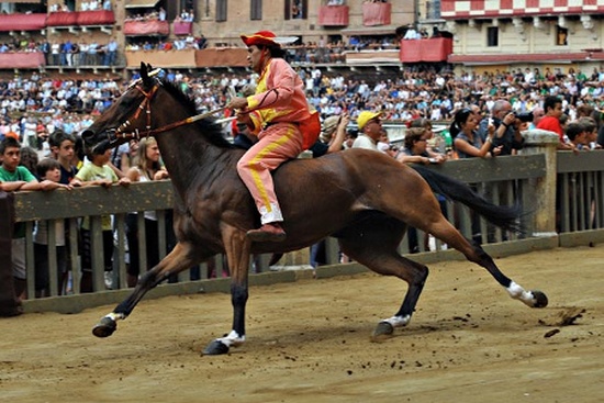 Palio di Siena - Contrada del Valdimontone