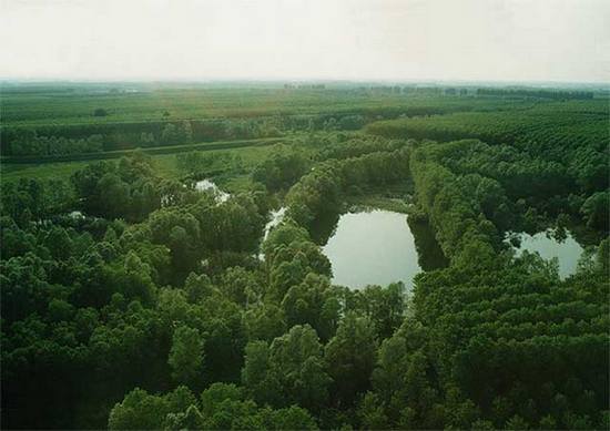 Parco San Colombano di Suzzara (MN)
