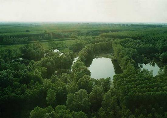 Parco San Colombano di Suzzara (MN)