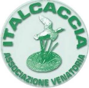 Italcaccia