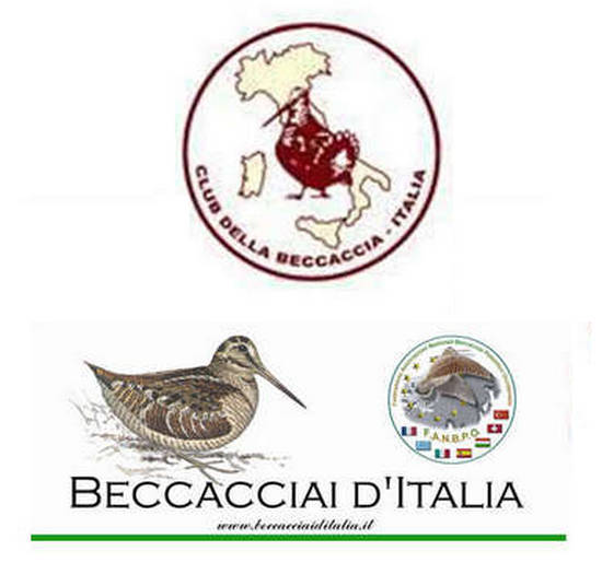 Beccacciai d’Italia - Club della Beccaccia Beccacciai d’Italia - Club della Beccaccia