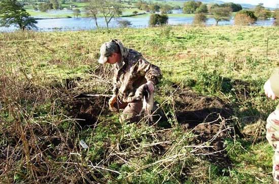 Caccia al coniglio con il furetto. Posa all'inetrno della Tana di coniglio del furetto