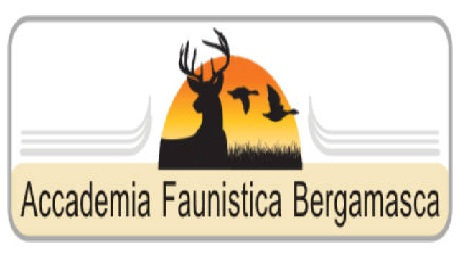 Accademia Faunistica Bergamasca Accademia Faunistica Bergamasca