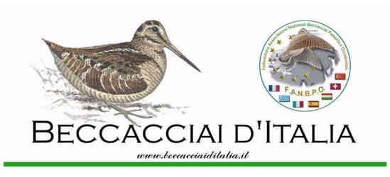 Associazione Beccacciai d'Italia Associazione Beccacciai d'Italia