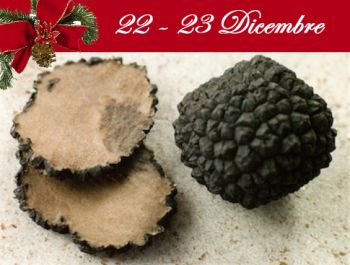 Terre dei Tartufo - Camerino (MC) Terre dei Tartufo - Camerino (MC)