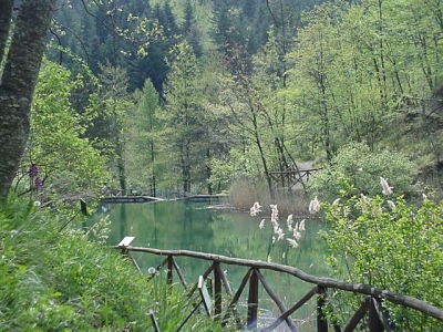 Parco delle Foreste del Casentino