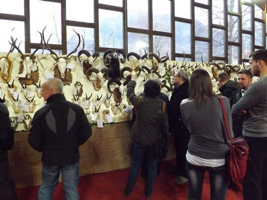 Trofei di Caccia - Mostra