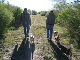 Cacciatori tra le siepi con cani