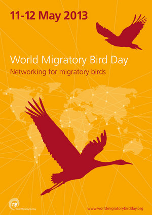 Giornata Mondiale degli Uccelli Migratori 2013