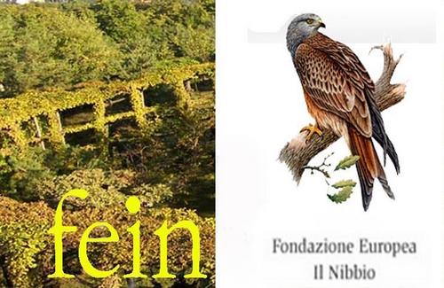 Fein - Fondazione Europea Il Nibbio - Osservatorio Ornitologico Arosio
