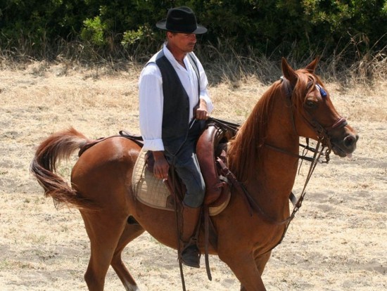 Game Fair 2013 - Tarquinia - Cavalli a Primavera Game Fair 2013 - Tarquinia - Cavalli a Primavera