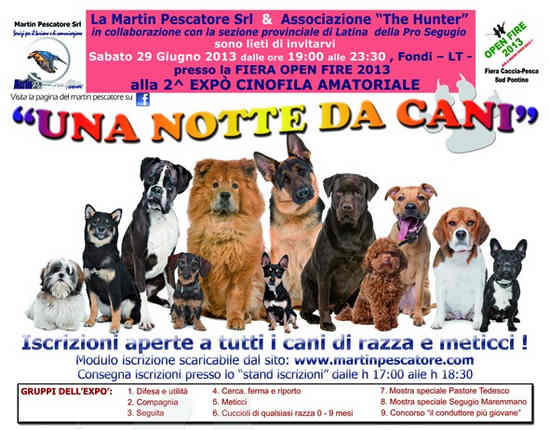 Open Fire 2013 - Una Notte da Cani - Expò Cinofilia 