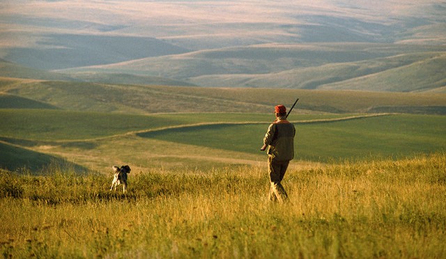 Cacciatore con cane sulle colline Toscane