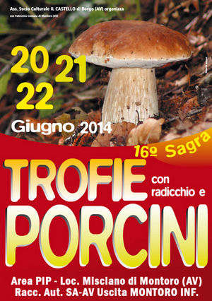 Sagra Trofie con Radicchio e Funghi Porcini 2014 - Montoro Inferiore (AV)