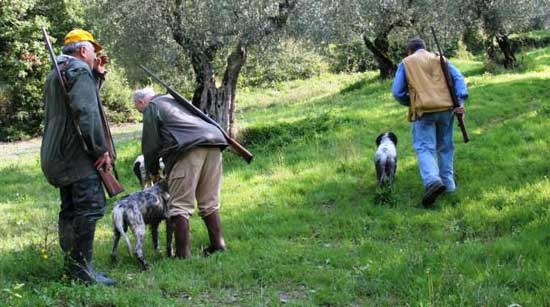 Cacciatori con cani