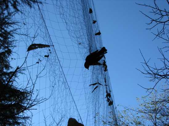 Rete da Uccellagione - Bracconaggio Rete da Uccellagione - Bracconaggio