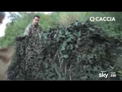 Caccia al Colombaccio in apertura