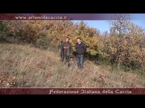 Caccia alla Beccaccia a Serrapetrona (MC)