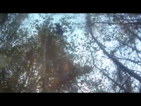 Caccia alla Beccaccia in Asturie