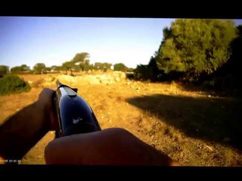 Caccia al Cinghiale 2014