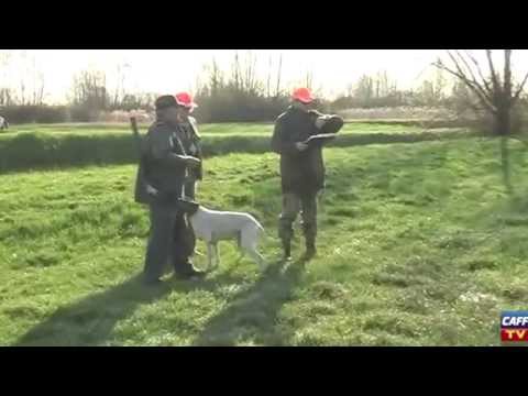 Caccia alle Starne con il cane da Ferma – 2a Puntata