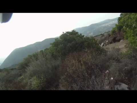 Caccia a Pernice e Lepre in Sardegna