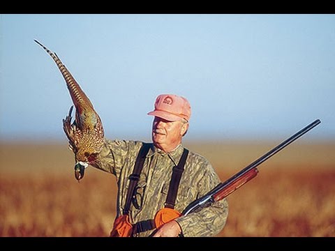 Caccia al Fagiano nel South Dakota (USA)