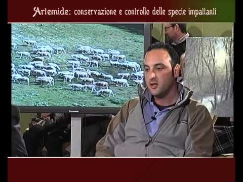 Caccia nelle Marche – Convegno sulla Caccia