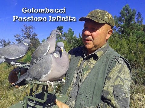 COLOMBACCIO PASSIONE INFINITA