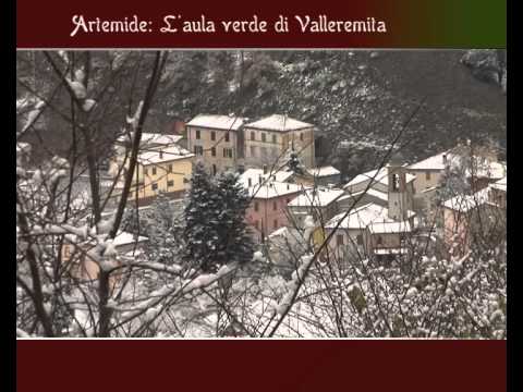 Caccia e Cinofilia: I cani da Caccia