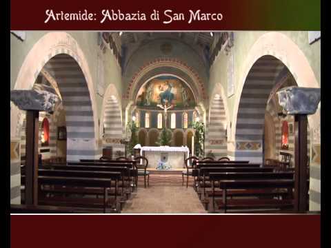 Caccia agli Acquatici a San Marco alle Paludi (FM)