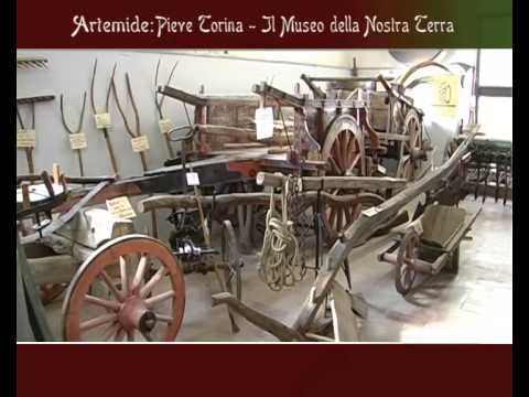 Caccia al Fagiano a Pieve Torina (MC)