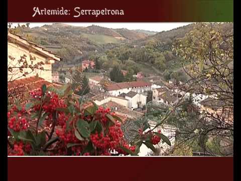 Caccia alla Beccaccia a Serrapetrona (MC)