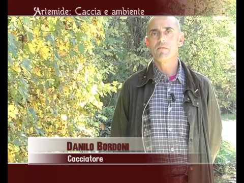 Caccia alla Coturnice a Sarnano (MC)