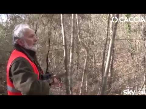 Caccia: Canicom Day 2015