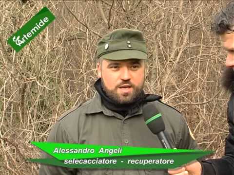 Caccia di Selezione al Capriolo