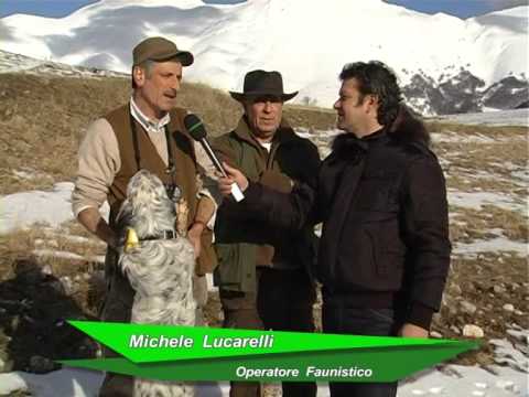 Parchi Nazionali delle Marche – Le Aree Protette