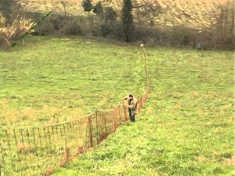 Caccia alla Lepre: Ripopolamento e Cattura su Monte Urano