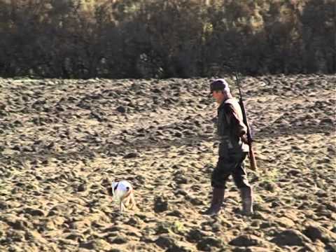 Caccia dal capanno a Castorano (AP)