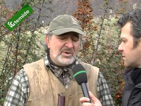 Caccia alla Beccaccia e alla Pernice tra Metauro e Chienti