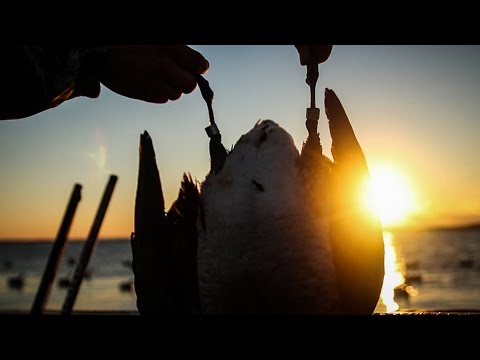 Caccia alle Oche nel Nord America – Réalité Fowled