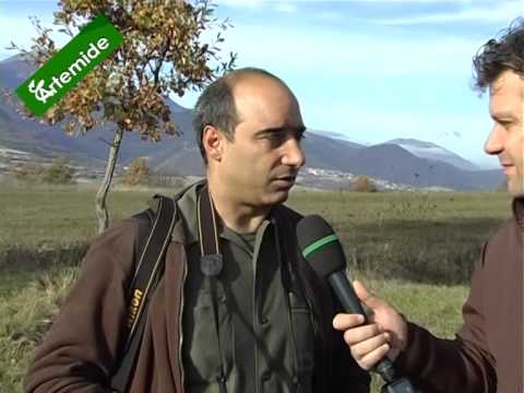 Caccia alla Lepre sul Monte Strega