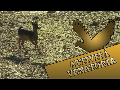 Caccia con l’Arco a Chiusdino (SI)