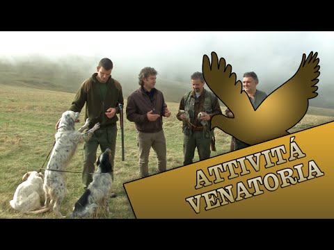 Caccia alla Coturnice a Visso (MC)